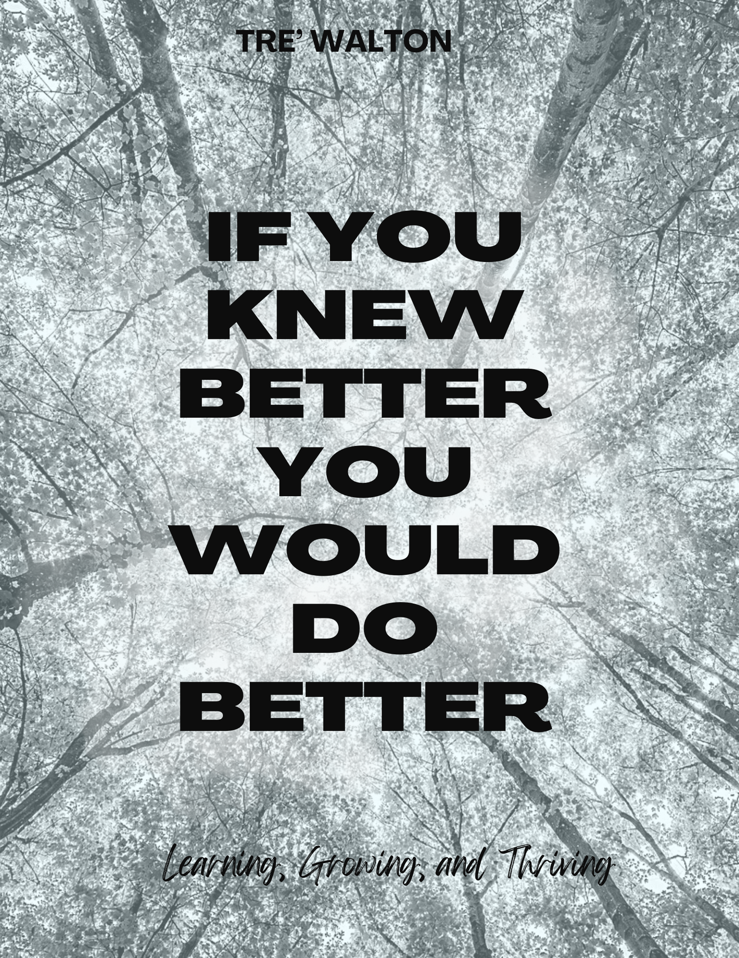 IF YOU KNEW BETTER YOU WOULD DO BETTER Ebook